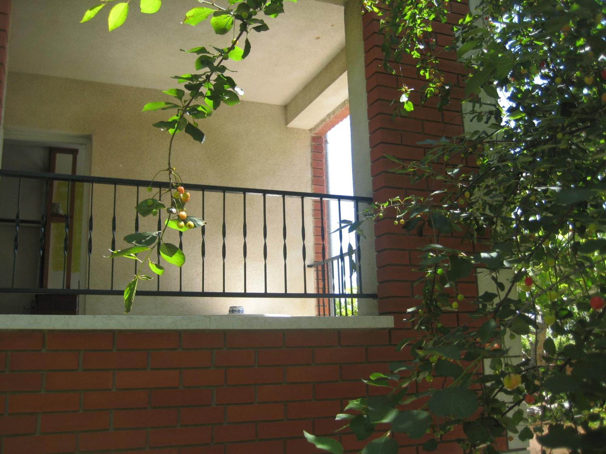 House Kate Appartement Rovinj Buitenkant foto